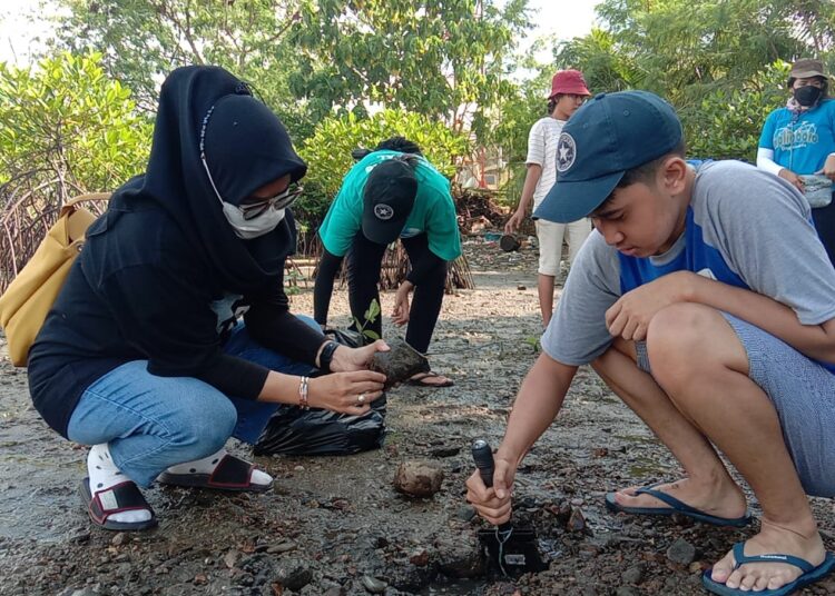 Penanaman Mangrove oleh IJTI Maluku dan sejumlah komunitas lingkungan di pantai Kelurahan Lateri, Kecamatan Baguala, Kota Ambon, Sabtu (18/12/2021). (Foto: Husen Toisuta)