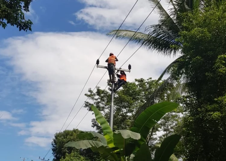 Pekerjaan sistem kelistrikan di Pulau Panjang. (Foto: Humas PLN Maluku)