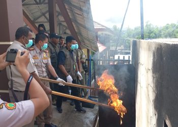 Dibakar, BKSDA Maluku Musnahkan Kayu Gaharu Seberat 1,5 Ton