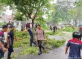 Pohon Tumbang Timpa Ibu dan Anak di Ambon