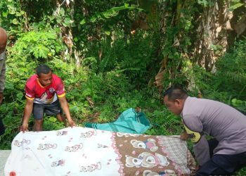 Sempat Hilang, Nenek 73 Tahun di TNS Ditemukan Meninggal di Hutan