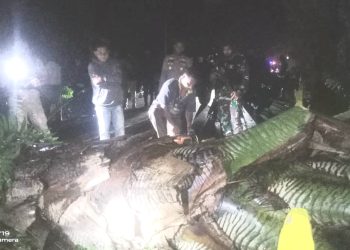 9 Jam Warga Tihulale dan Rumah Kay Blokir Jalan Lintas Seram, Ini Kronologisnya