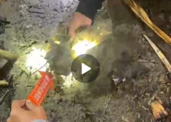 Pelaku Pencurian Tiang Alif Berlapis Emas di Buru Ditangkap