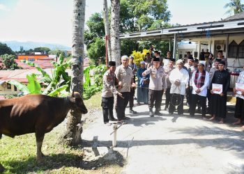 Jelang Idul Adha, Kapolda Serahkan Hewan Qurban kepada Masyarakat di Ambon