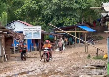 Ribuan PETI Kembali Diturunkan dari Gunung Botak