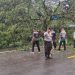 Hujan Deras di Ambon, Pohon Tumbang di Depan Kantor KPU Maluku