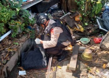 Warga Temukan Mortir 60 Komando di Ambon