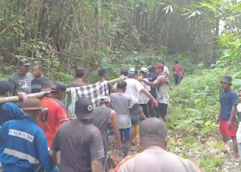 Empat Hari Hilang di Hutan Sepa, Kakek 70 Tahun Ditemukan Selamat oleh Tim SAR