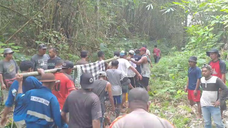 Empat Hari Hilang di Hutan Sepa, Kakek 70 Tahun Ditemukan Selamat oleh Tim SAR