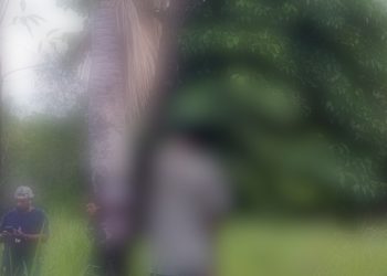 Mayat Tanpa Identitas Ditemukan Tergantung oleh Pengembala Sapi di Namlea