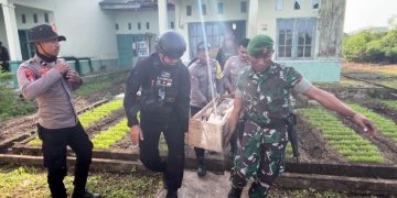 Personel Detasemen Gegana Kompi 3 Yon C Pelopor dan Polsek Selaru beserta Koramil 1507-03/Selaru tampak mengangkat munisi dan handak yang akan dimusnahkan pada Sabtu, 25 Januari 2025. (Foto: Istimewa)