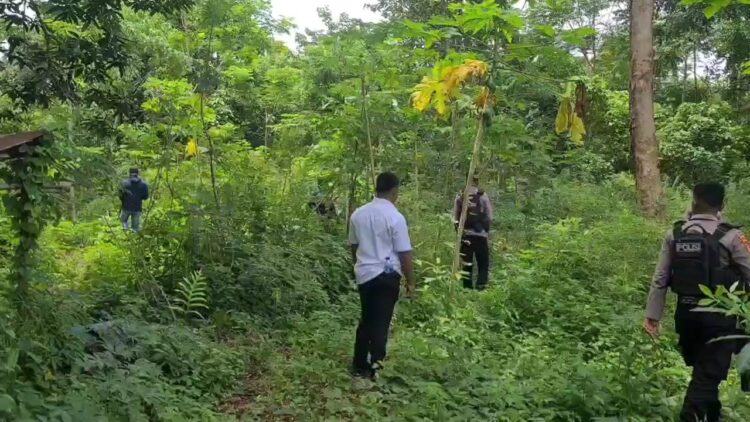 Sisir Hutan Kejar Dua Pelaku Pembakaran Puskesmas, Kapolres Malra: Pelaku Agar Serahkan Diri Baik-baik