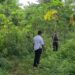 Sisir Hutan Kejar Dua Pelaku Pembakaran Puskesmas, Kapolres Malra: Pelaku Agar Serahkan Diri Baik-baik