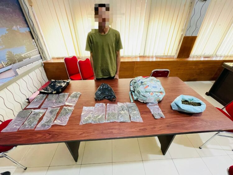 Selundupkan Ganja Ratusan Gram dari Jayapura Pemuda Amahusu Ditangkap