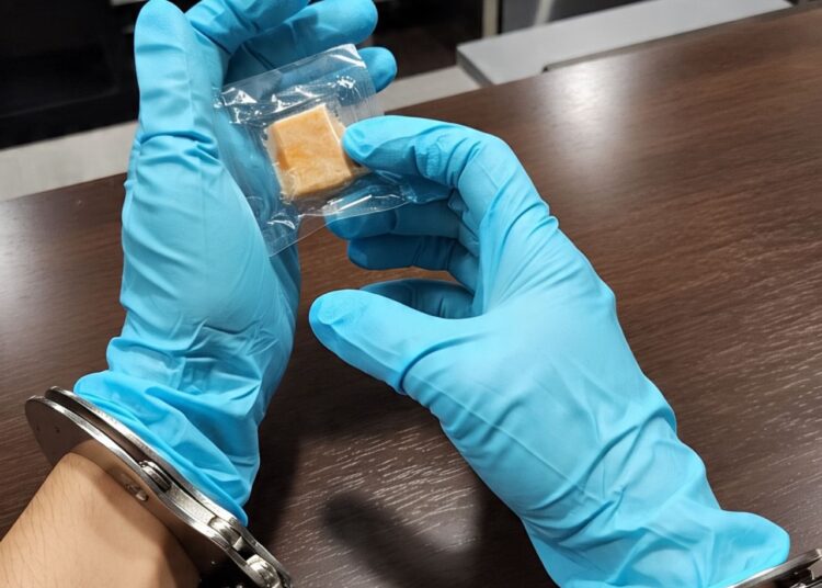 Oknum PNS di SBB Ditangkap Narkoba