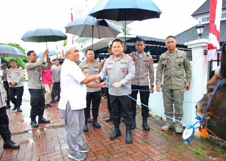 Kapolda Maluku Salurkan Bantuan Hewan Qurban kepada Masyarakat
