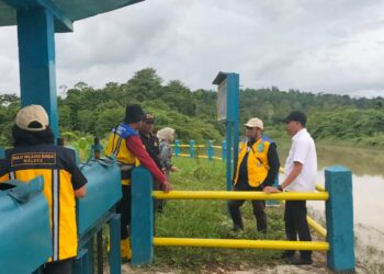 Pekerjaan Sejumlah Irigasi di Malteng Selesai, Wajo: Target Swasembada Pangan Pasti Tercapai