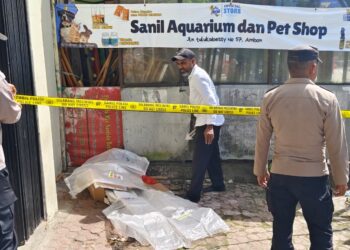 Tunawisma Tanpa Identitas Ditemukan Tewas Tertutup Karung di Jalan Telukabessy Ambon