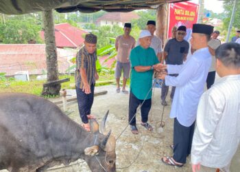 118 Hewan Kurban Disalurkan, Kapolda Maluku; Ini Bukan sekadar Ritual, Tapi Wujud Pengabdian Polri untuk Rakyat