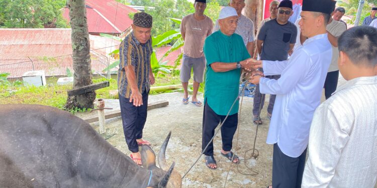 118 Hewan Kurban Disalurkan, Kapolda Maluku; Ini Bukan sekadar Ritual, Tapi Wujud Pengabdian Polri untuk Rakyat