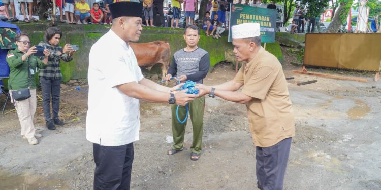 Idul Adha, Kodam XV/Pattimura Berkurban 78 Ekor Hewan